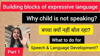 Building blocks of expressive languagereasons why child is not speaking बच्चा क्यों नहीं बोल रहा [upl. by Lower]