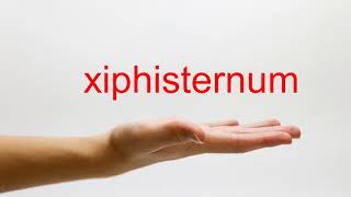 How to Pronounce xiphisternum  American English [upl. by Mcgray]