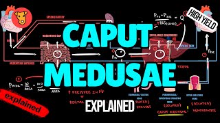 CAPUT MEDUSAE Pathogenesis of signs and symptoms in Medicine [upl. by Anana]