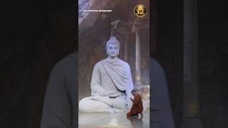 Daily reminder  The Dhammapada 10  Cultivating Buddhism buddhism shorts dhammapada [upl. by Thistle]