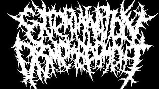 Extermination Dismemberment Protonemisis lyric video [upl. by Rabush]