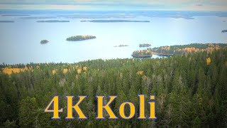 Koli  Finlandiahymni  Jean Sibelius  FINLAND 100 ULTRA HD 4K [upl. by Nailluj]