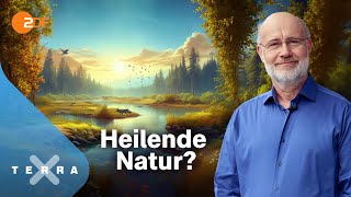 Harald Lesch  und die unterschätzte Klimachance  Terra X Harald Lesch Ganze TVFolge [upl. by Shaia851]