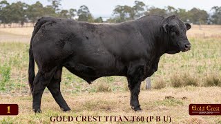 Lot 1  GOLD CREST TITAN T60 P B U [upl. by Notkcorb378]