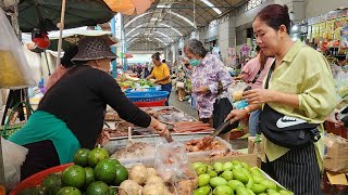 18 🇰🇭 2024  Outdoor Market  Fresh Seafood  Organic Produce  Dried Fish market seafood [upl. by Yasibit]