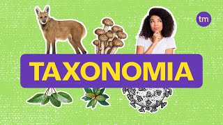 Taxonomia  Como classificar os seres vivos [upl. by Lad]