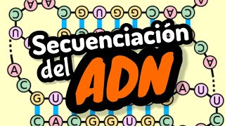 SECUENCIACIÓN DEL ADN y ARN⚡ ejercicios de secuencias de las bases nivel experto [upl. by Ginnifer]