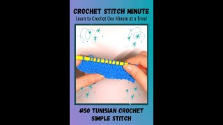 Tunisian Simple Stitch 1 Minute Crochet 50 [upl. by Crescin]