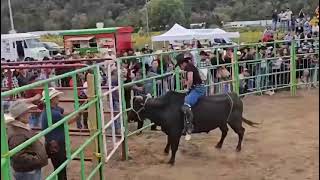 Diamante negro vs Guerrero De Atotonilco Rancho ojo De agua [upl. by Bonar]