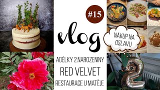 VLOG 15  Adélka má narozeniny dort restaurace U Matěje 🎂 [upl. by Galanti]