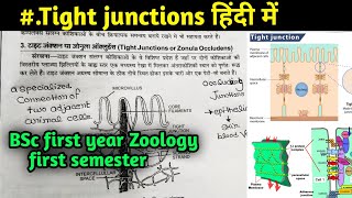 Tight Junction in Hindi  Cell junction  cellcell interaction  BSc first year Zoology 1st Sem [upl. by Hepzi694]