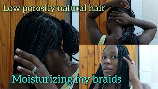 How to moisturize low porosity natural hair with LCO Method in braids  Moisturizing knotless braids [upl. by Icaj]