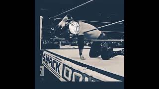 rey mysterio the best moments rey mysterio the best moments [upl. by Raynold]