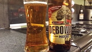 Tyskie Dębowe Mocne Bogaty Smak By Tyskie Browary Książęce  Polish Beer Review [upl. by Lever]