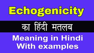 Echogenicity Meaning in HindiEchogenicity का अर्थ या मतलब क्या होता है [upl. by Attirb]