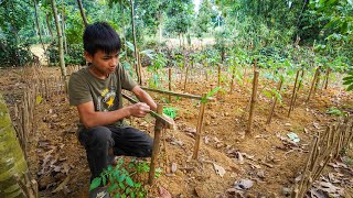 Orphan Boy Builds His Own Trellis – A Heartwarming Story of Resilience [upl. by Ffej]