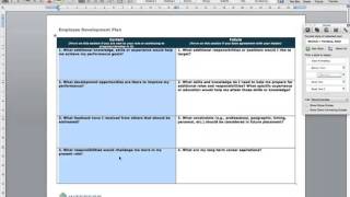 Employee Development Plan [upl. by Ongineb]