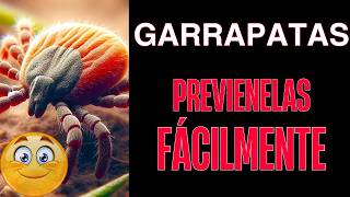 ✅¡ No lo creerás GARRAPATAS EN PERROS Tratamiento más efectivo y Prevencióncuidammostumascota [upl. by Mighell723]