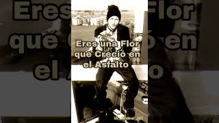 JOVANOTTI  Serenata Rap 1994 [upl. by Eirak]