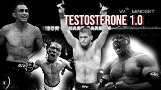 TESTOSTERONE 10  The MOST Powerful motivational compilation video [upl. by Otsugua]