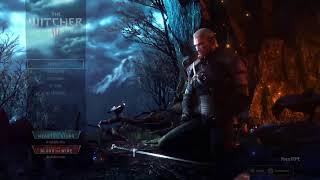 Witcher 3 gameplay [upl. by Gine341]