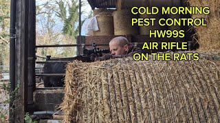 COLD MORNING PEST CONTROL HW99S ON THE RATS [upl. by Arinay983]