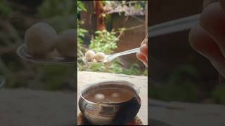 Mini Rasgulla❤️😋Mini cooking mini food miniature viralvideo trending kitchen tasty cooking [upl. by Satsok]