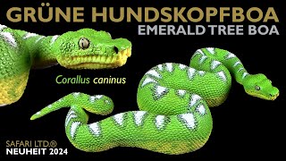 Safari Ltd ® Grüne Hundskopfboa  Grüner Hundskopfschlinger  Corallus caninus  Emerald Tree Boa [upl. by Anivas]