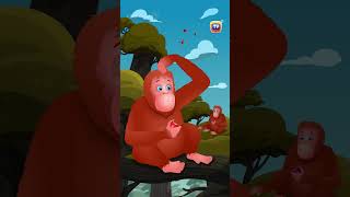 Asian Elephant Song Orangutan Bonobo Shorts ChuChuTV KidsSongs animalshorts endangeredanimals [upl. by Setarcos681]