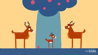 Animanimals The Deer [upl. by Anirtal]