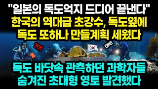 quot일본의 독도억지 드디어 끝낸다quot 한국의 역대급 초강수 독도 옆에 독도 또하나 만들계획 세웠다  독도 바닷속 관측하던 과학자들 숨겨진 초대형 영토 발견했다 잡식왕 [upl. by Dilahk]