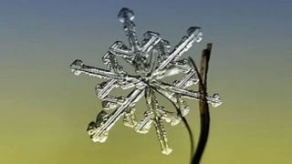 Close Up Photos Of Snowflakes [upl. by Tung]