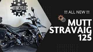 The All New Mutt Stravaig 125  Learner Legal Adventure Bike [upl. by Mcnair]