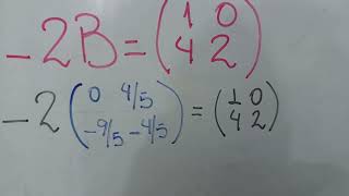 Matrices con Sistema de Ecuaciones [upl. by Llerryt]