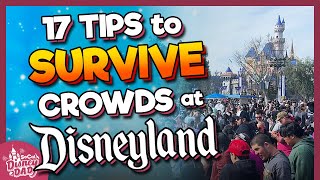 17 Best Tips to SURVIVE THE CROWDS at Disneyland [upl. by Adnawyt]