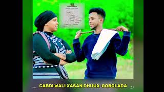 DHAANTO CUSUB GOBOLADA DDS BY CABDI WALI XASAN DHUUX 2024 VEDIO OFFICIAL [upl. by Tanberg]