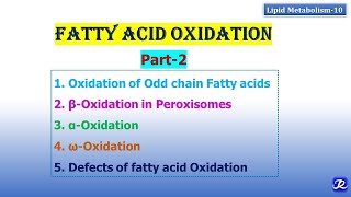 10 Fatty acid oxidation part 2  Lipid Metabolism10  Biochemistry  NJOY Biochemistry [upl. by Carole]