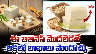 లక్షల్లో లాభాలు అందించే బిజినెస్ ఐడియా  Tofu Business Startup Idea  Hit TV Money [upl. by Dadirac]