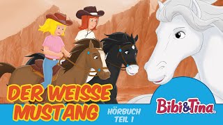 Bibi amp Tina Hörbuch Der weiße Mustang  1 Stunde Entspannung Teil 1 [upl. by Ayahs895]