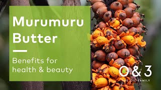 Murumuru Butter  benefits for skin hair and personal care formulations [upl. by Ydeh]