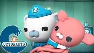 Octonauts  Un travail dordures  Aventures Sous Les Mers [upl. by Haldeman92]