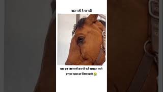 Ye bhi jiv hai itna to mat satao saveanimals dard bedlife verified disclaimer struggle short [upl. by Donalt]