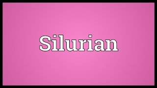 Silurian Meaning [upl. by Edniya687]