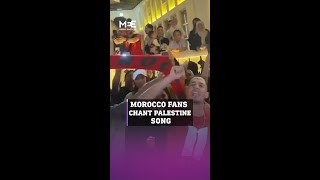 World Cup Morocco fans sing for Palestine [upl. by Pestana527]