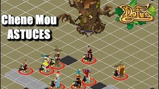 CHENE MOU DOFUS RETRO  ASTUCES ET CONSEILS [upl. by Ytram188]