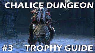 Bloodborne Chalice Dungeon Trophy Walkthrough  Part 3  Defiled Chalice [upl. by Fakieh765]