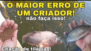 Saiba qual é o maior erro de um criador de peixe iniciante psicultura CRIACAODETILAPIAS [upl. by Calore]