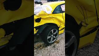 Bad Day For Bumble Bee redneckgarage shortvideo redneck [upl. by Eshman]