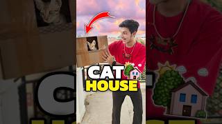 New House For My Cats 💀😀  Mini Vlog shorts minivlog ashortaday vlog tranding cat [upl. by Alburga613]