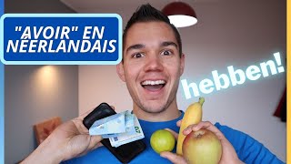 le verbe avoir en néerlandais 🇳🇱🇧🇪  hebben en néerlandais  cours de néerlandais gratuit [upl. by Dripps]